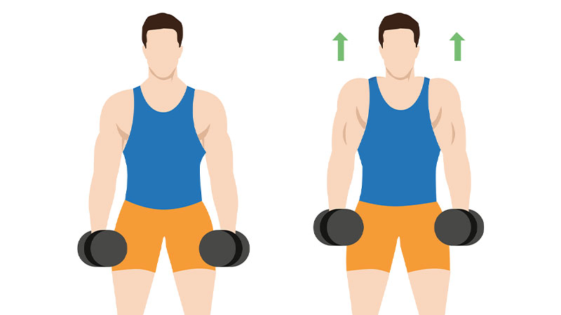 فواید کول دمبل برای تقویت عضلات شانه و گردن