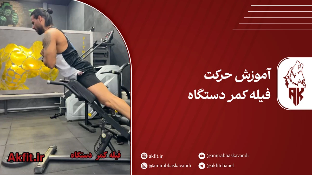 آموزش حرکت فیله کمر دستگاه [مرحله به مرحله + نکات کلیدی]