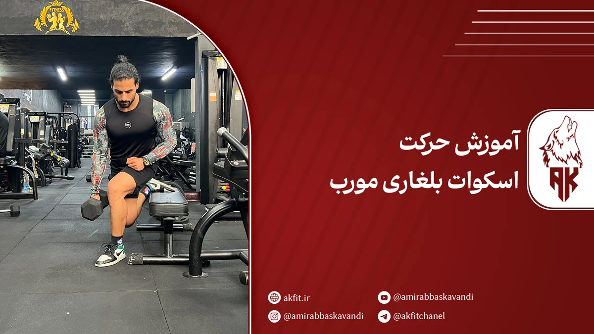 آموزش حرکت اسکوات بلغاری مورب تک پا  + نکات تکمیلی