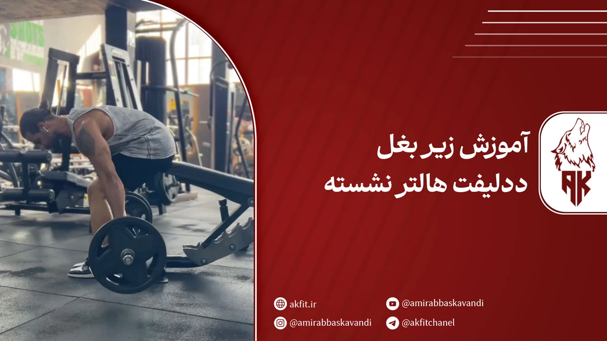 آموزش حرکت زیر بغل ددلیفت هالتر نشسته + نکات کلیدی