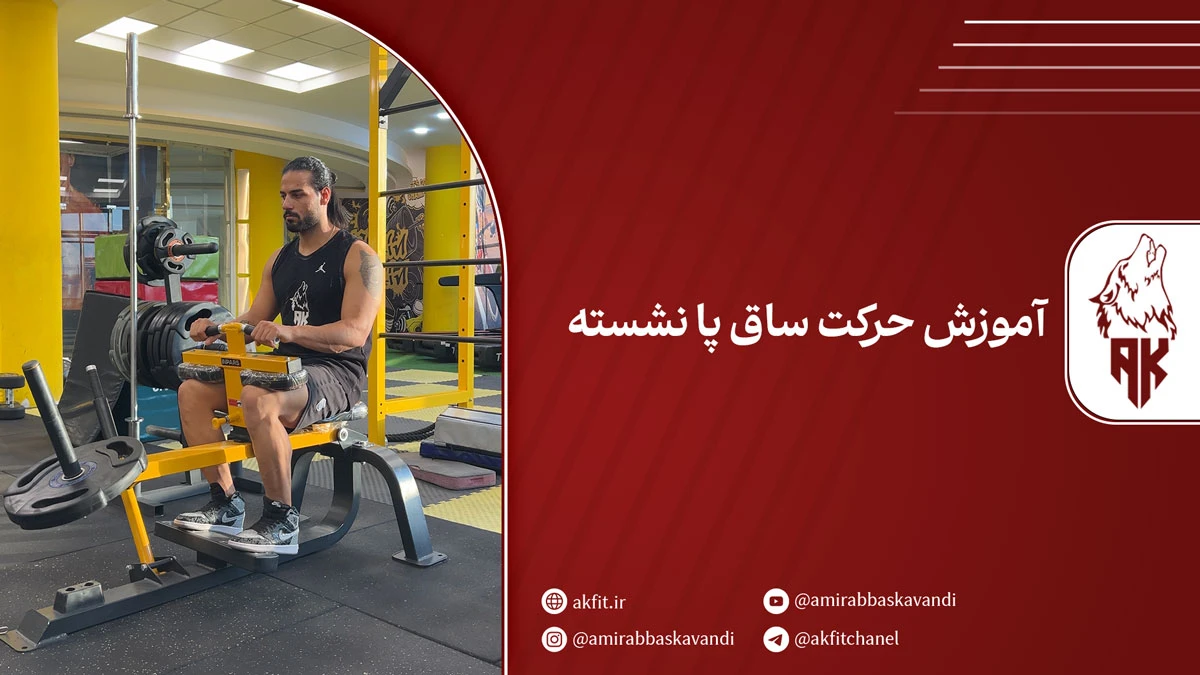 آموزش مرحله به مرحله حرکت ساق پا نشسته + نکات تکمیلی