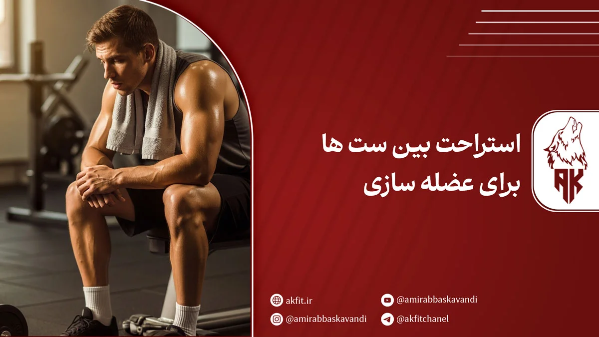 استراحت بین ست ها برای عضله سازی؛ چقدر، چرا و چگونه؟