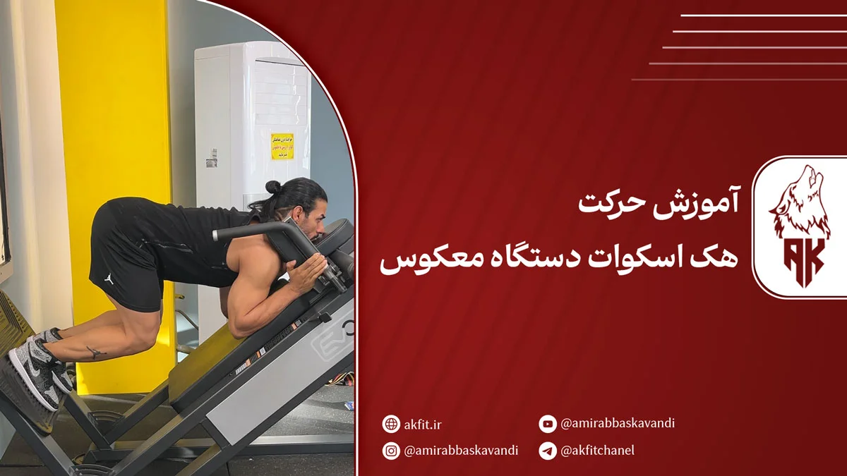 آموزش حرکت هک اسکوات دستگاه معکوس؛ بررسی مزایا + عضلات درگیر