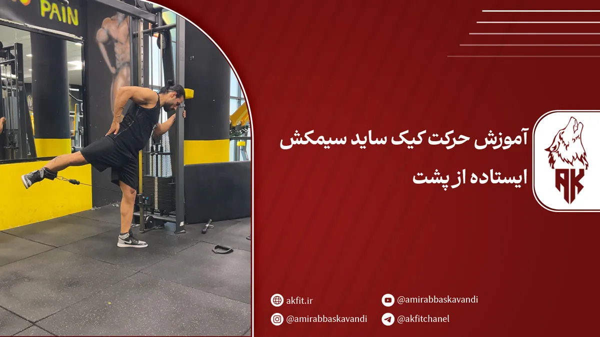 فواید اجرای حرکت کیک ساید سیمکش ایستاده از پشت را بشناسید!