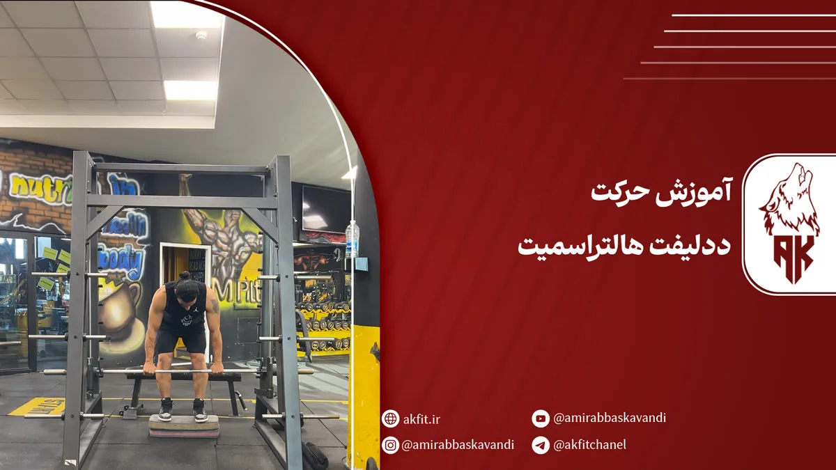 معرفی حرکت ددلیفت هالتر اسمیت