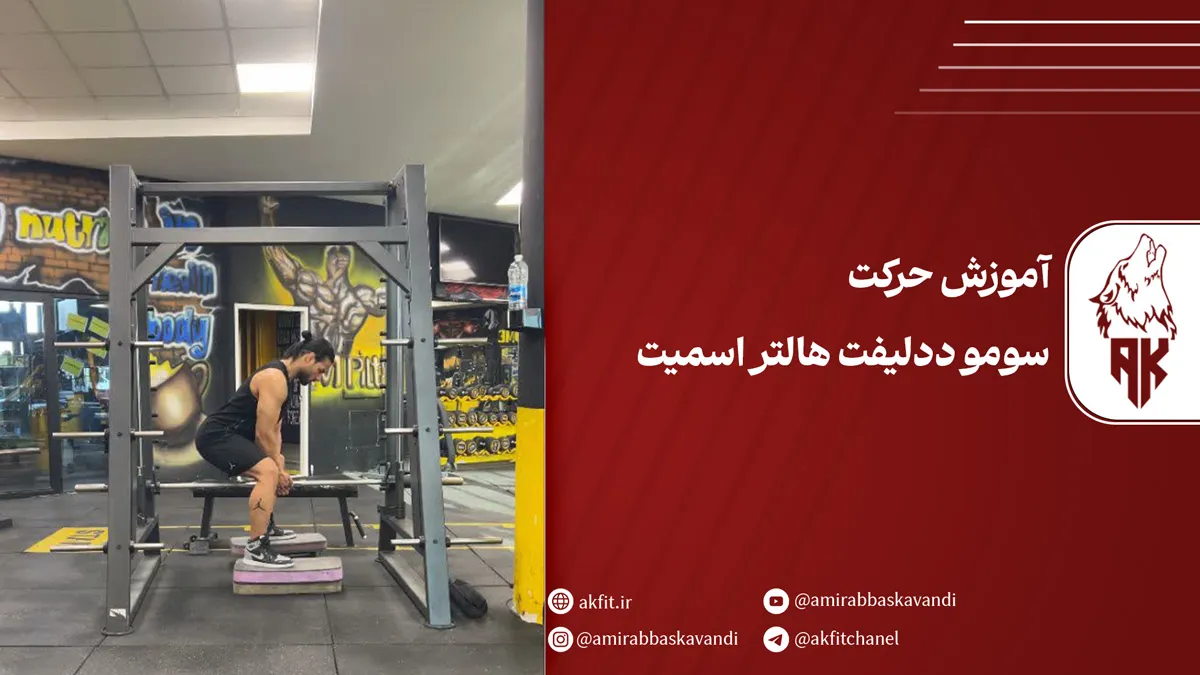 معرفی حرکت سومو ددلیفت هالتر اسمیت