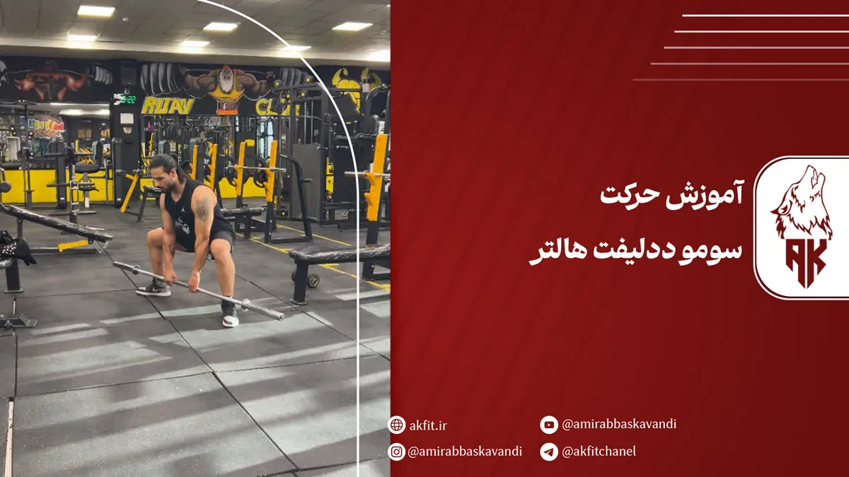 معرفی حرکت سومو ددلیفت هالتر