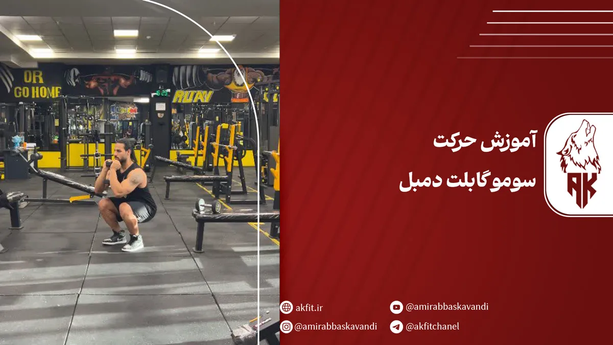 معرفی سومو گابلت دمبل