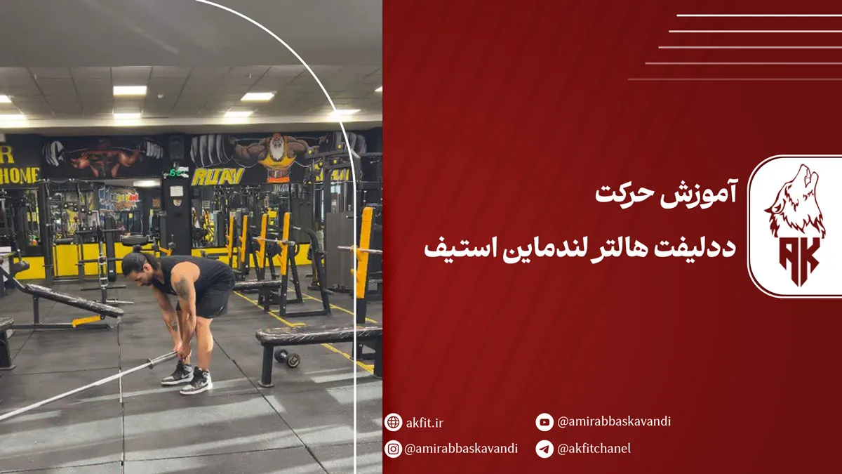 معرفی ددلیفت هالتر لندماین استیف